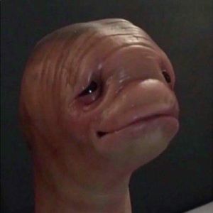 Meet your Posher, Jason